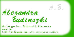 alexandra budinszki business card